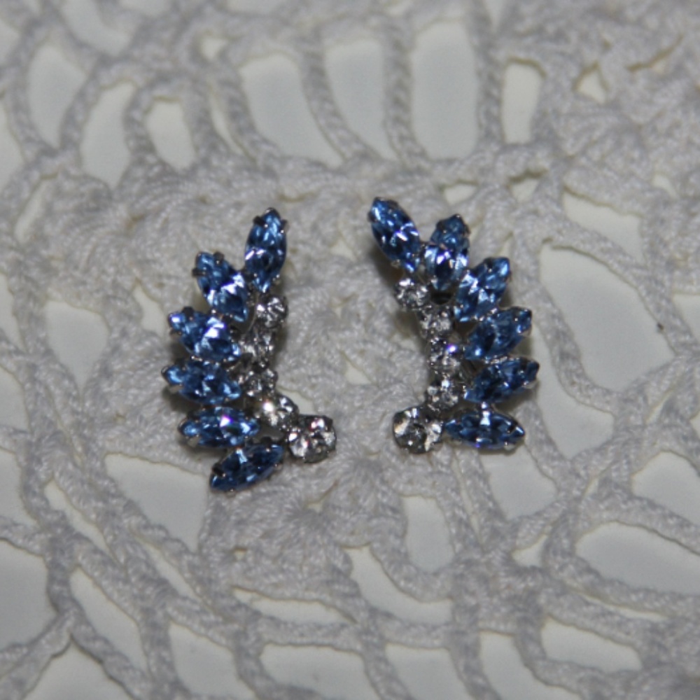 B. David Blue And Clear Rhinestone Screw Backs